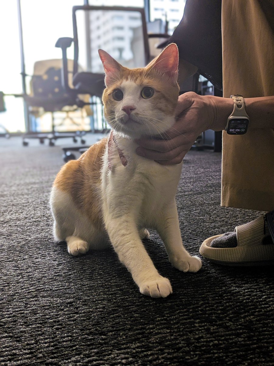 Generate black-and-white storyboards from an image