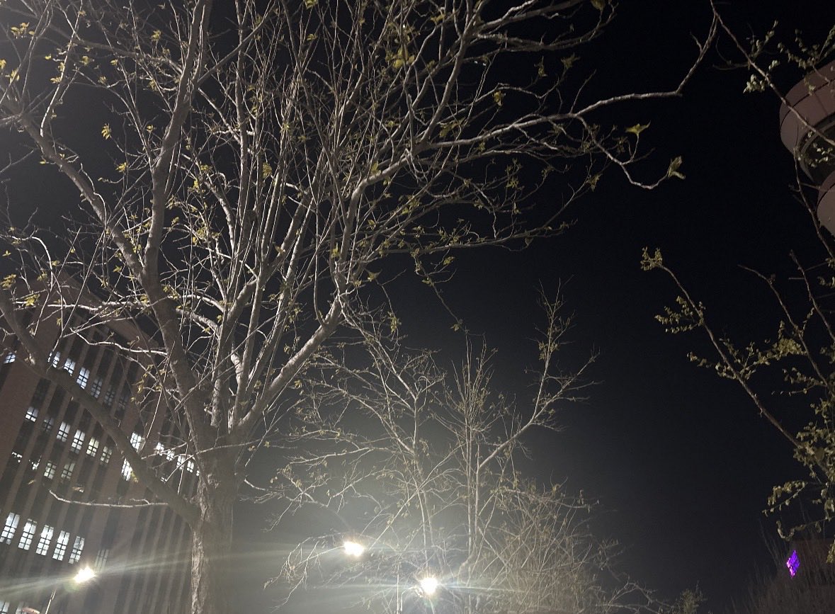 Makoto Shinkai-style cinematic sky background illustration