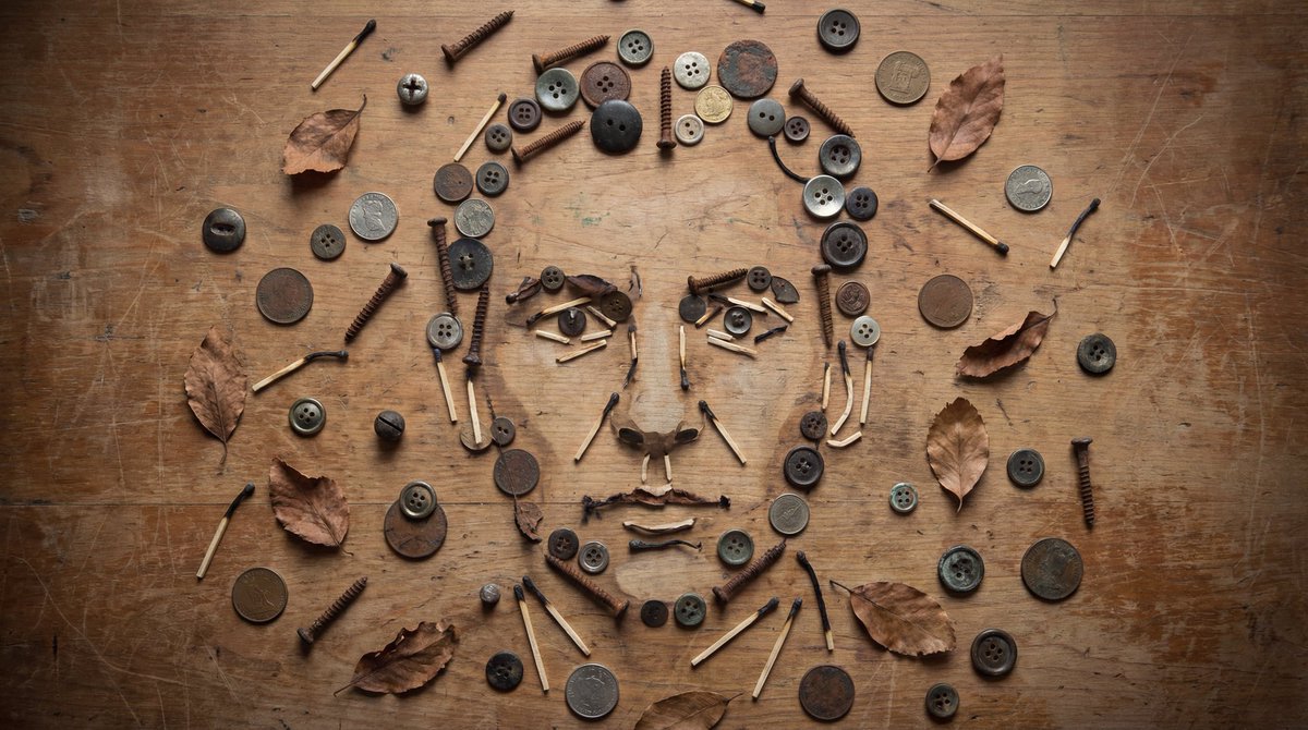Still-Life Object Portrait Illusion - Image 1