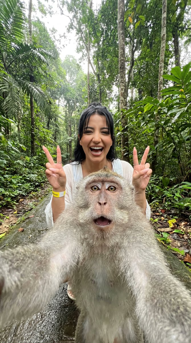Humorous Monkey Selfie in Tropical Jungle