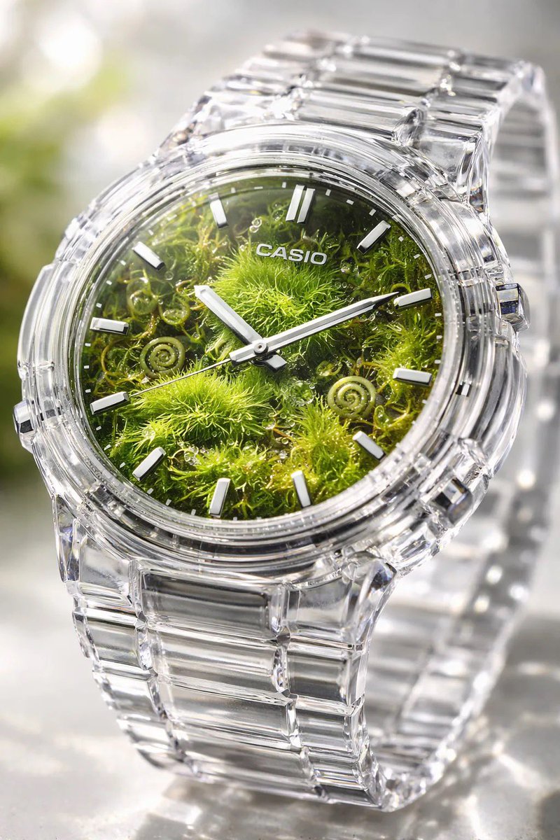 E-commerce Main Image - Crystal Terrarium Watch Product Shot - Image 2