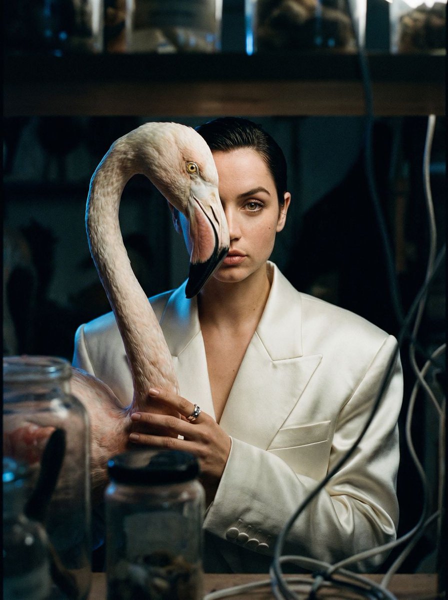 Surrealist Ornithology fashion editorial prompt