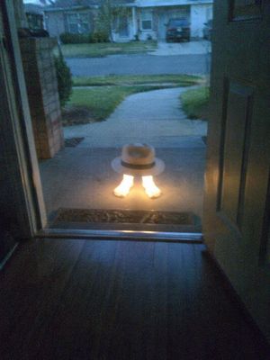 Subject Erasure and Hat Replacement – GPT Image 2 prompt by ZyFou