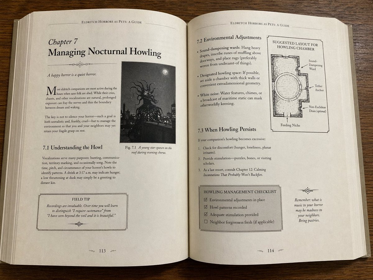 Fictional Book Page Excerpts example 3