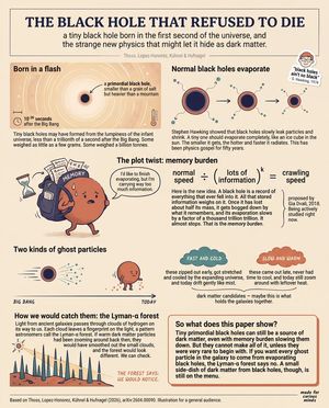 Teen-Friendly Black Hole Physics Infographic – GPT Image 2 prompt by Alphin Tom