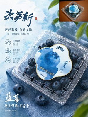 Premium Blueberry Product Poster – GPT Image 2 prompt by 歸藏(guizang.ai)
