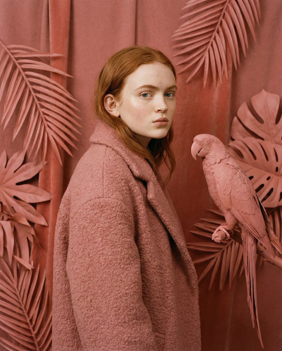 Sample output image for Avant-Garde Editorial Velvet Portrait