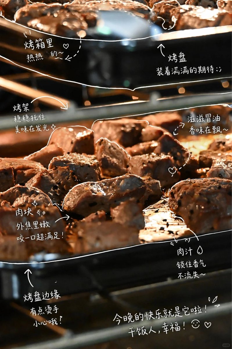 Hand-Drawn Style Photo Annotation Qwen Image prompt example variation 3: A complex prompt for GPT Image 2 to analyze a photo and add stylish, hand-drawn annotations and commentary.