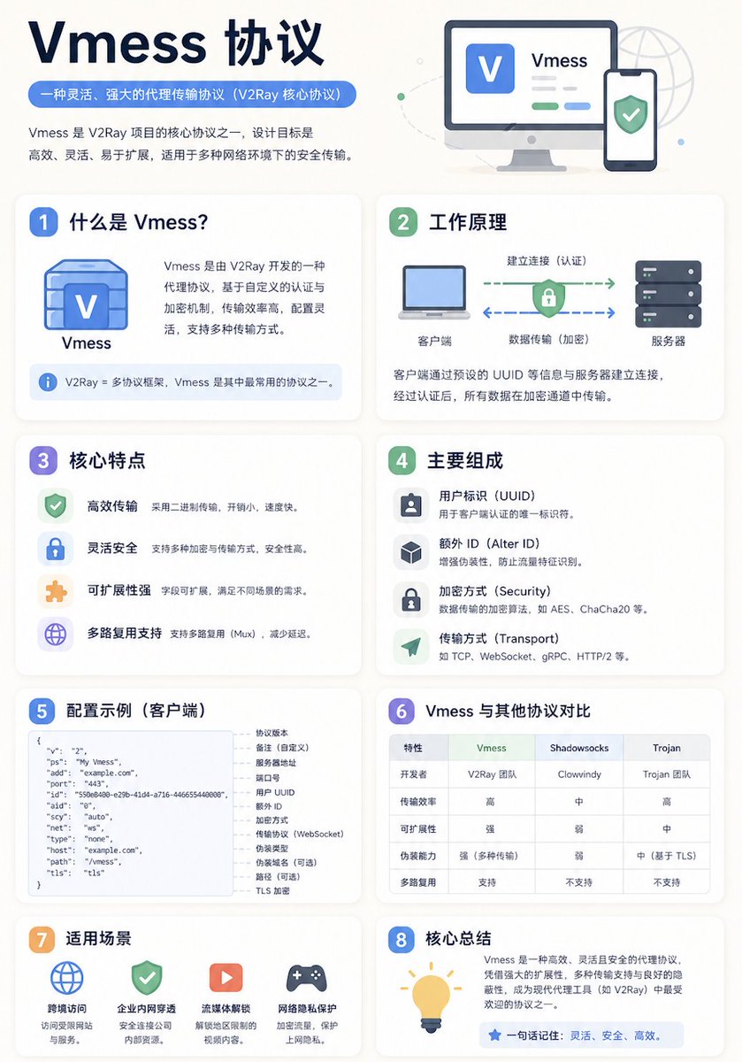 Infographic / Edu Visual - Chinese Vmess Protocol Infographic generated image example