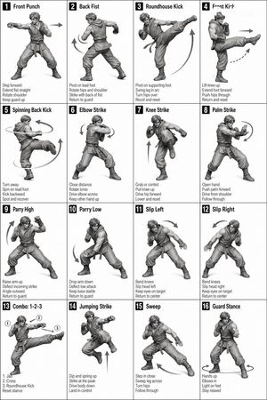 Instructional Martial Arts Movement Sheet