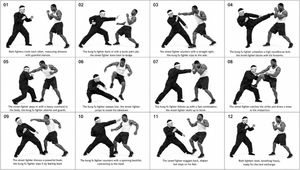 12-Panel Martial Arts Storyboard