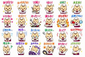Chef Cat Stickers