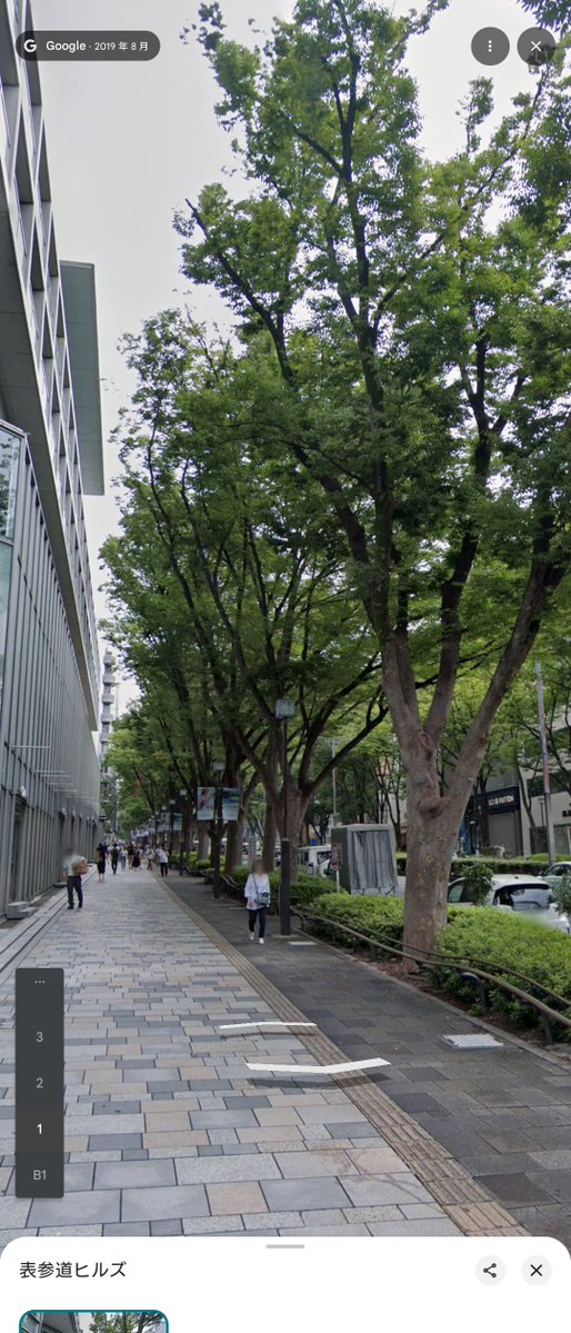 Google Maps Street to Autumn Illustration reference image 1