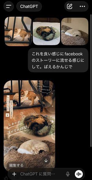 ChatGPT App Cat Story Screenshot
