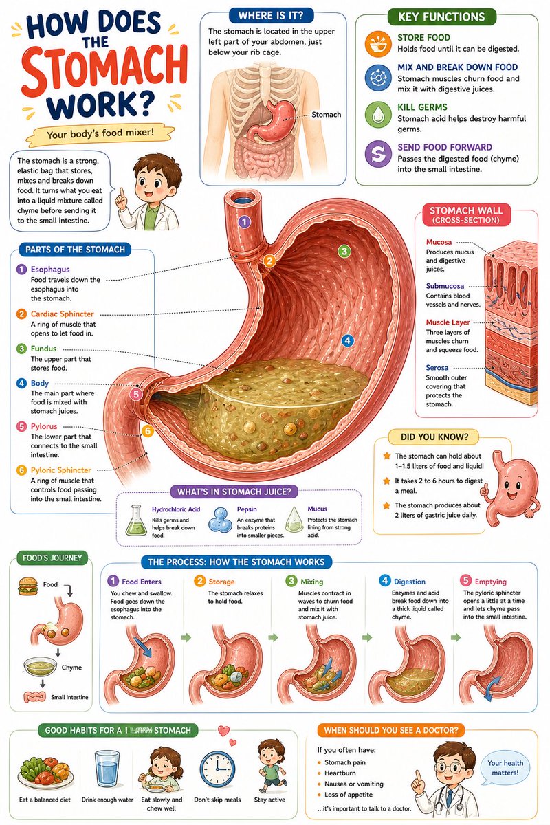 Science Book Illustration with Cutaway Diagram example 4