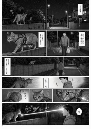 Midnight Laser Cat Manga Page
