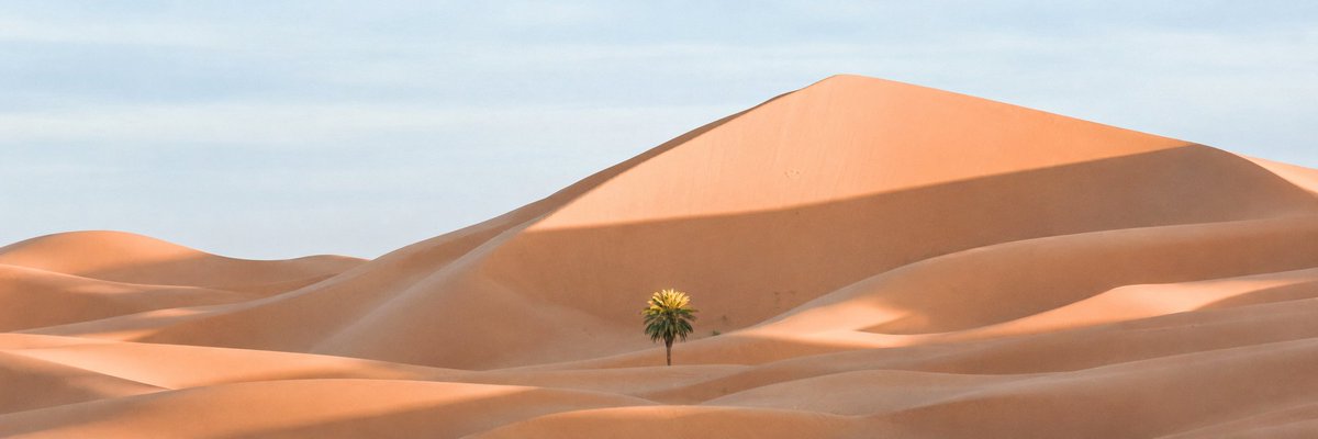 Lone Palm Desert Dunes