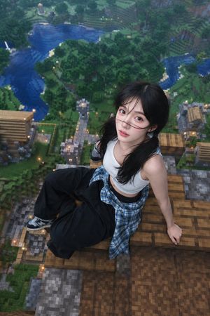 Minecraft 屋顶航拍肖像