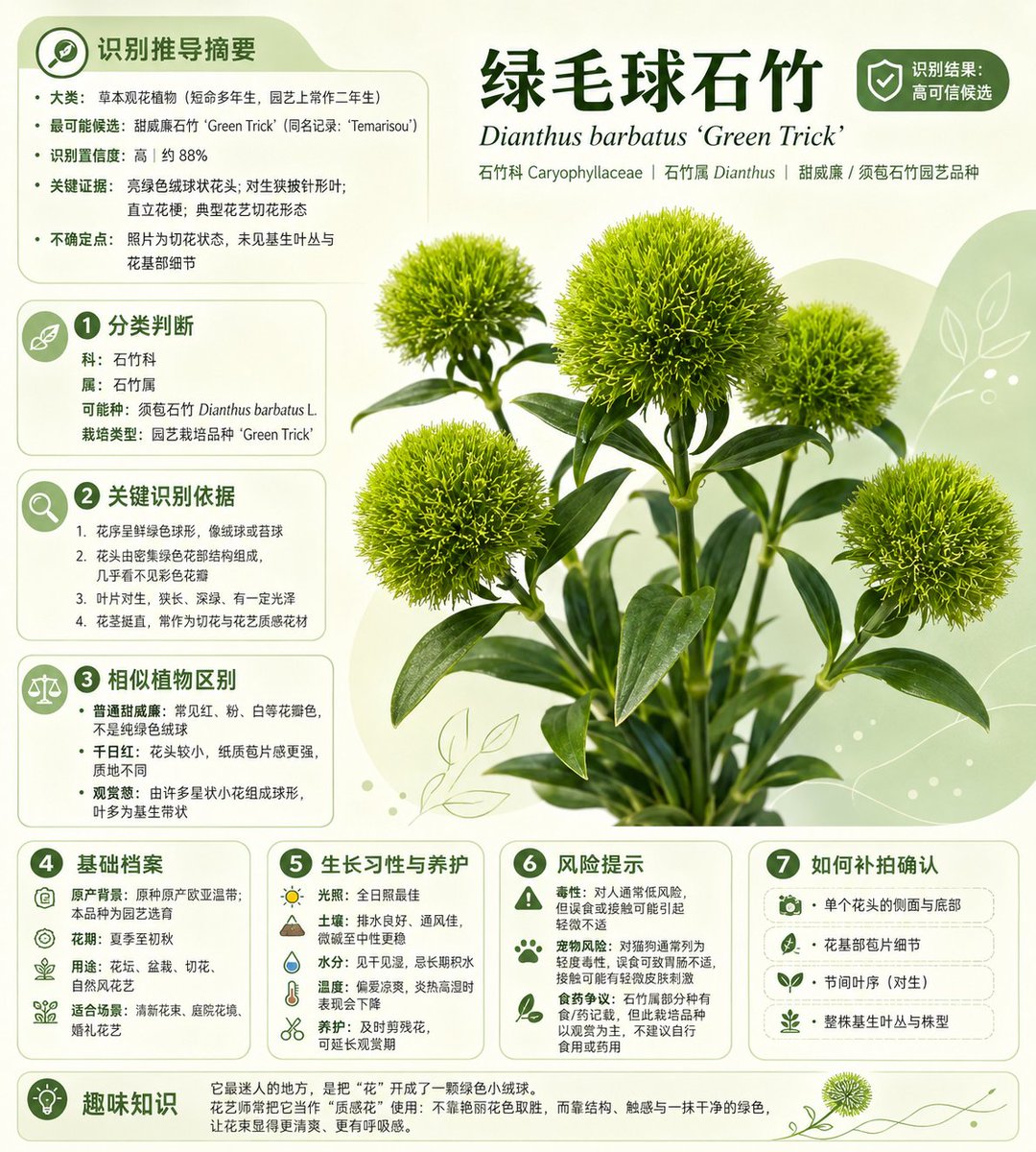 中文植物识别信息图