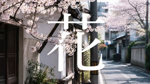 Cherry Blossom Street Kanji Poster