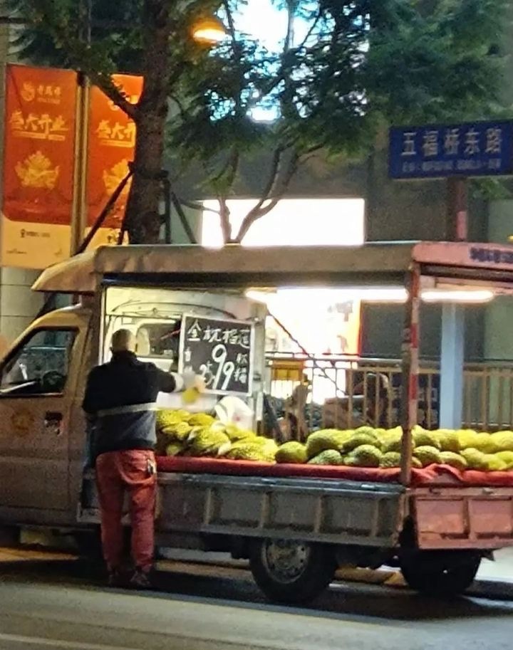 动物园园长 - inline image