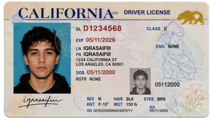 Realistic Driver License Mockup