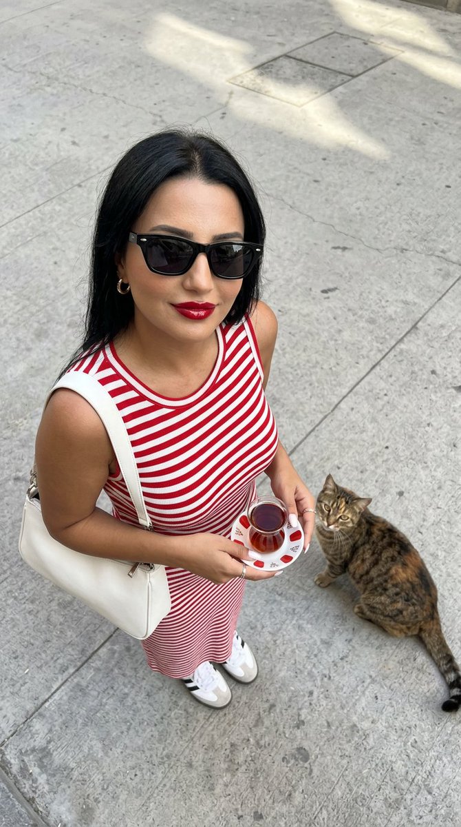Sample output image for Urban Fashion with Istanbul Cat