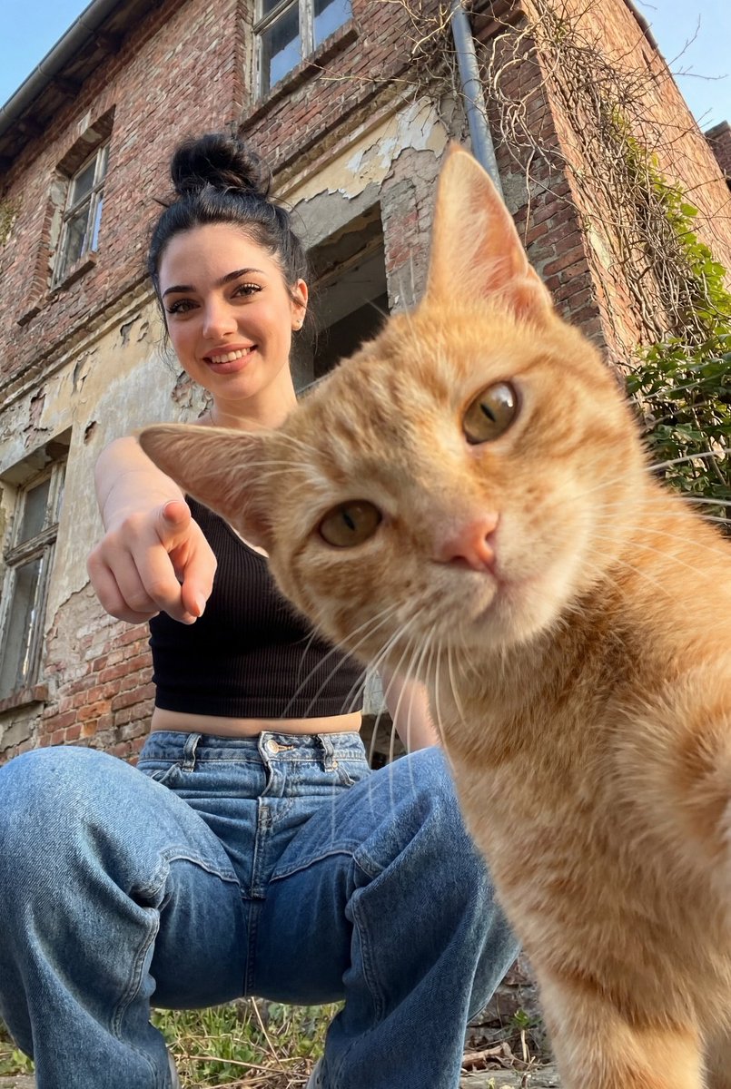 Sample output image for Worm's-Eye Urban Portrait with Cat
