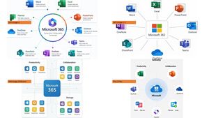 Microsoft 365 Model Comparison Infographic
