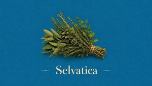 Vintage Mediterranean Herb Poster