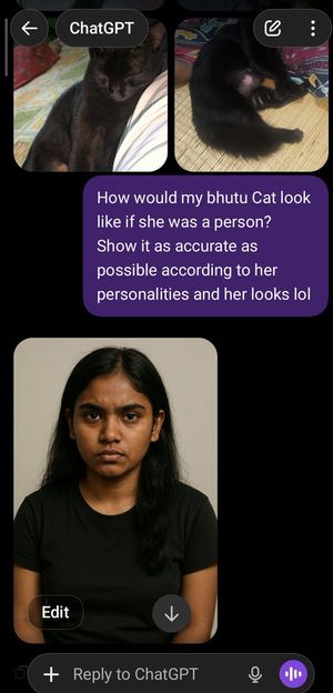 Cat to Person Character Visualization