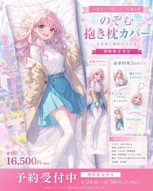 Anime Dakimakura Preorder Poster