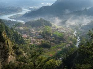 Misty Chinese Mountain Village