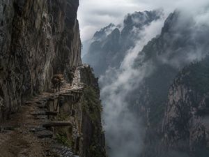 Misty Cliffside Mule Trail