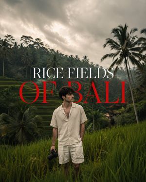 Bali Rice Field Photography