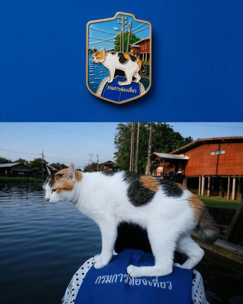 Die-cut Sticker Illustration example 2