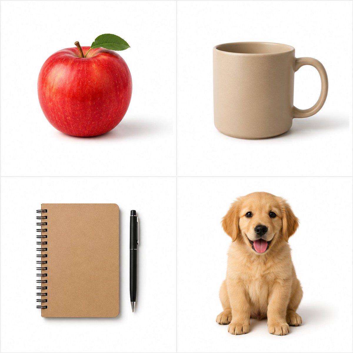 E-commerce Main Image - Minimalist Studio Object Photography - Image 1