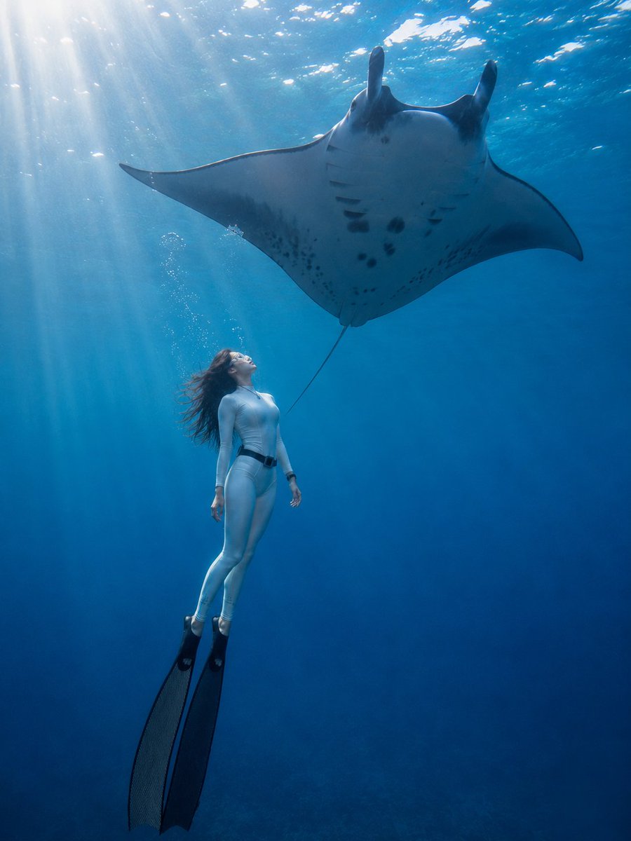 Dreamy Underwater Freediving Photography Series
