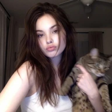 Sample output image for Low-Fi Candid Night Snapshot with Cat
