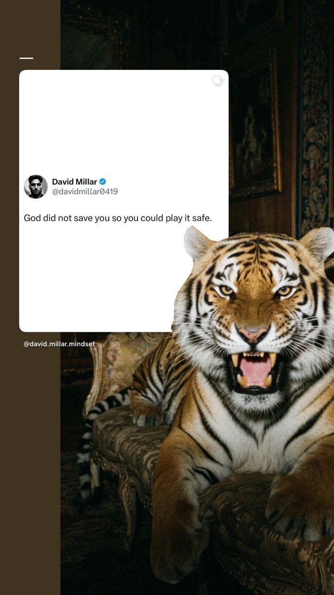 Tigre qui grogne sur un canapé de luxe