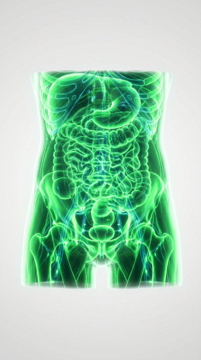 Infographic / Edu Visual - 3D Medical Glow Scan Rendering - Image 2
