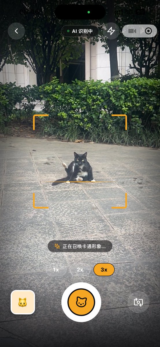 Cat Recognition Result Screen reference image 1