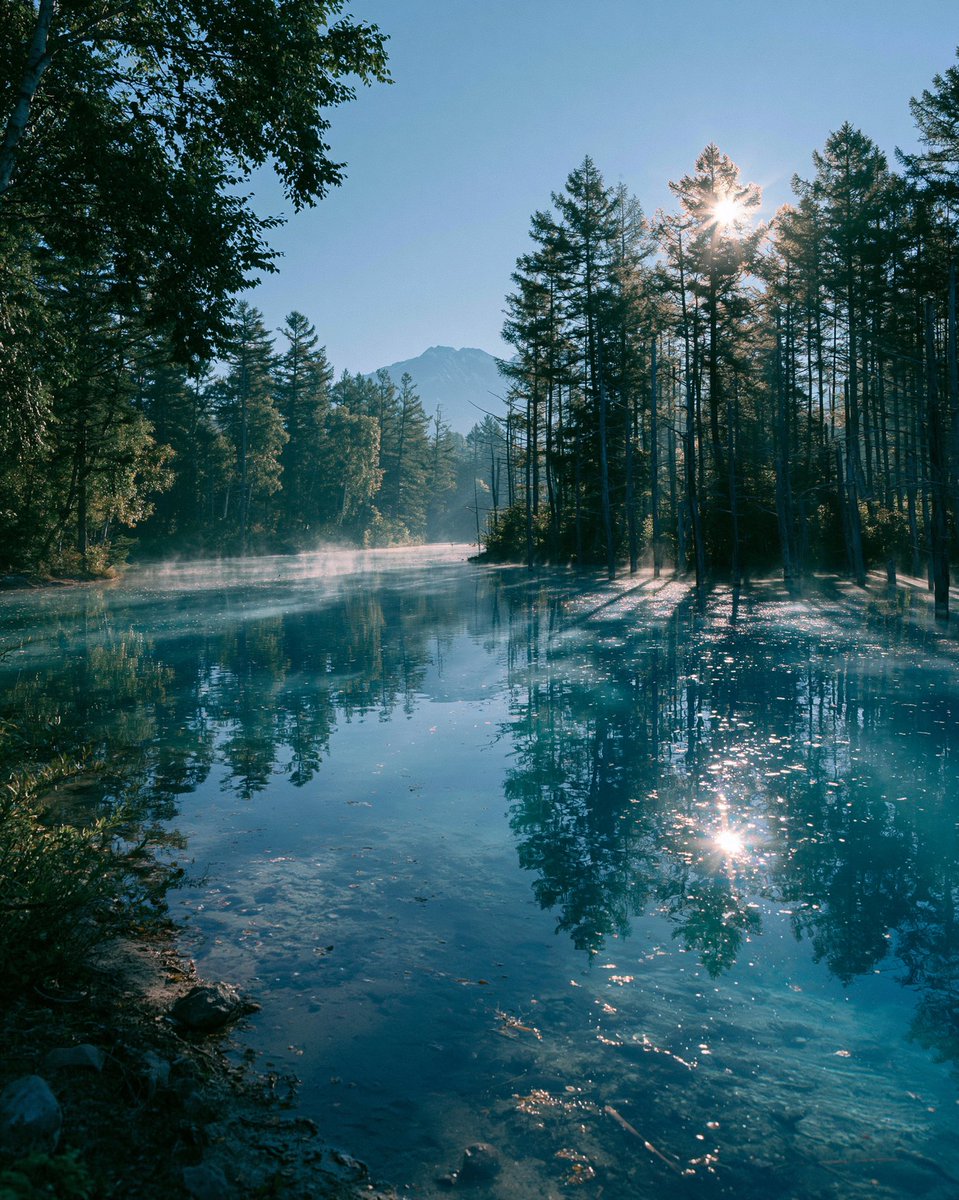 Turquoise Alpine Forest Pond example 3