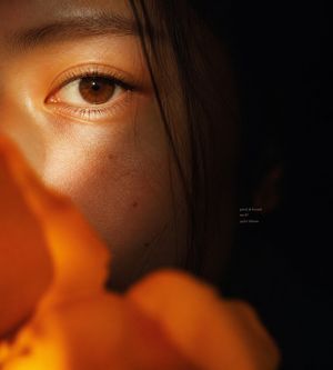 Intimate Flower Petal Macro Portrait AI image template preview