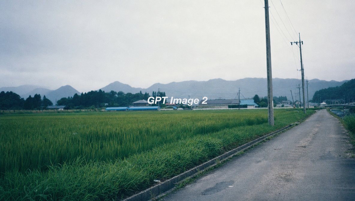 Cinematic Japanese Rice Paddy Landscape example 2