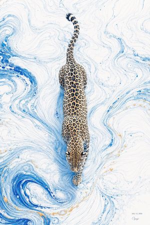 Overhead Leopard in Blue Marble Swirls AI image template preview