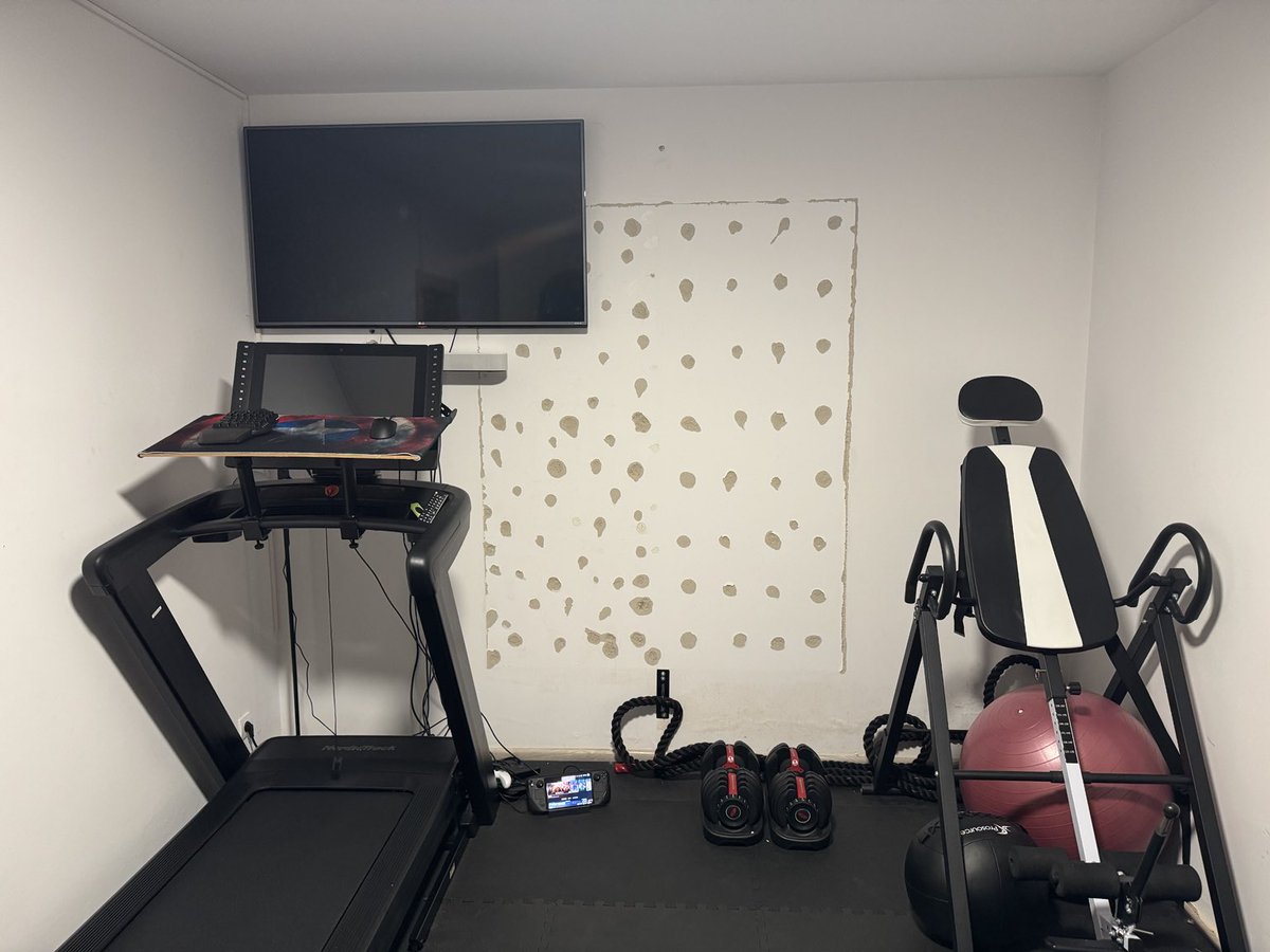Modern Home Gym Wall Makeover reference image 1