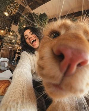 Extreme Wide-Angle Cat Photobomb Selfie AI image template preview