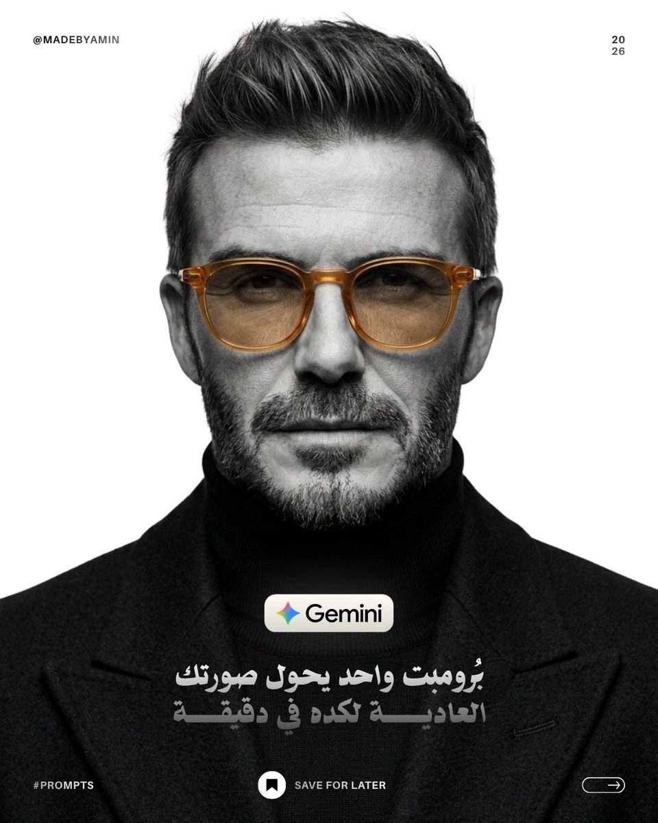 Profile / Avatar - Monochrome Studio Portrait with Colored Lens - Image 2