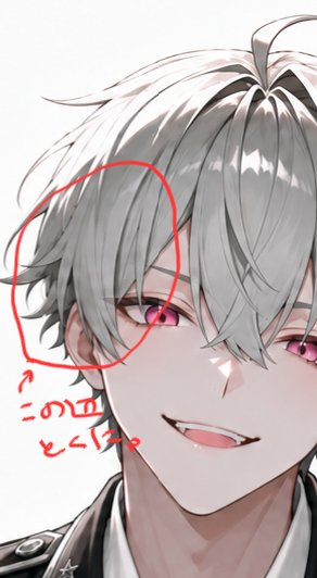 Annotated Anime Hair Artifact Portrait